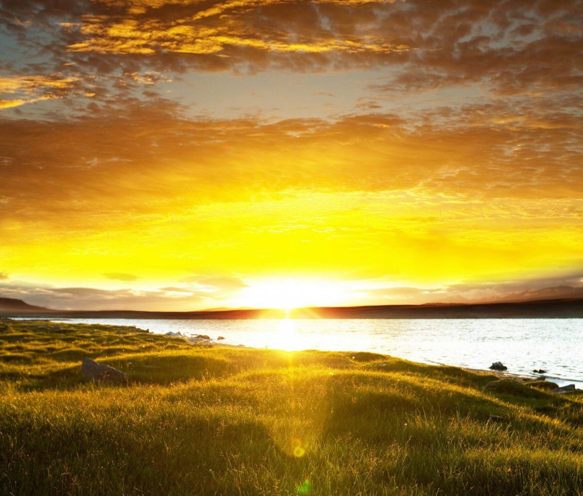 Daily Devotion - 3 Reasons for Accepting Our Lot in Life