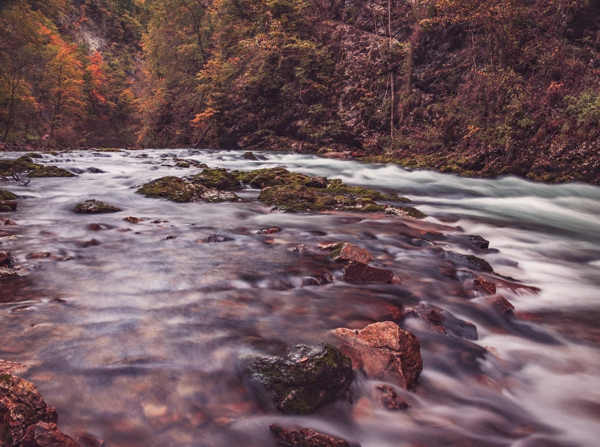 Daily Devotable - Waters of Sihor