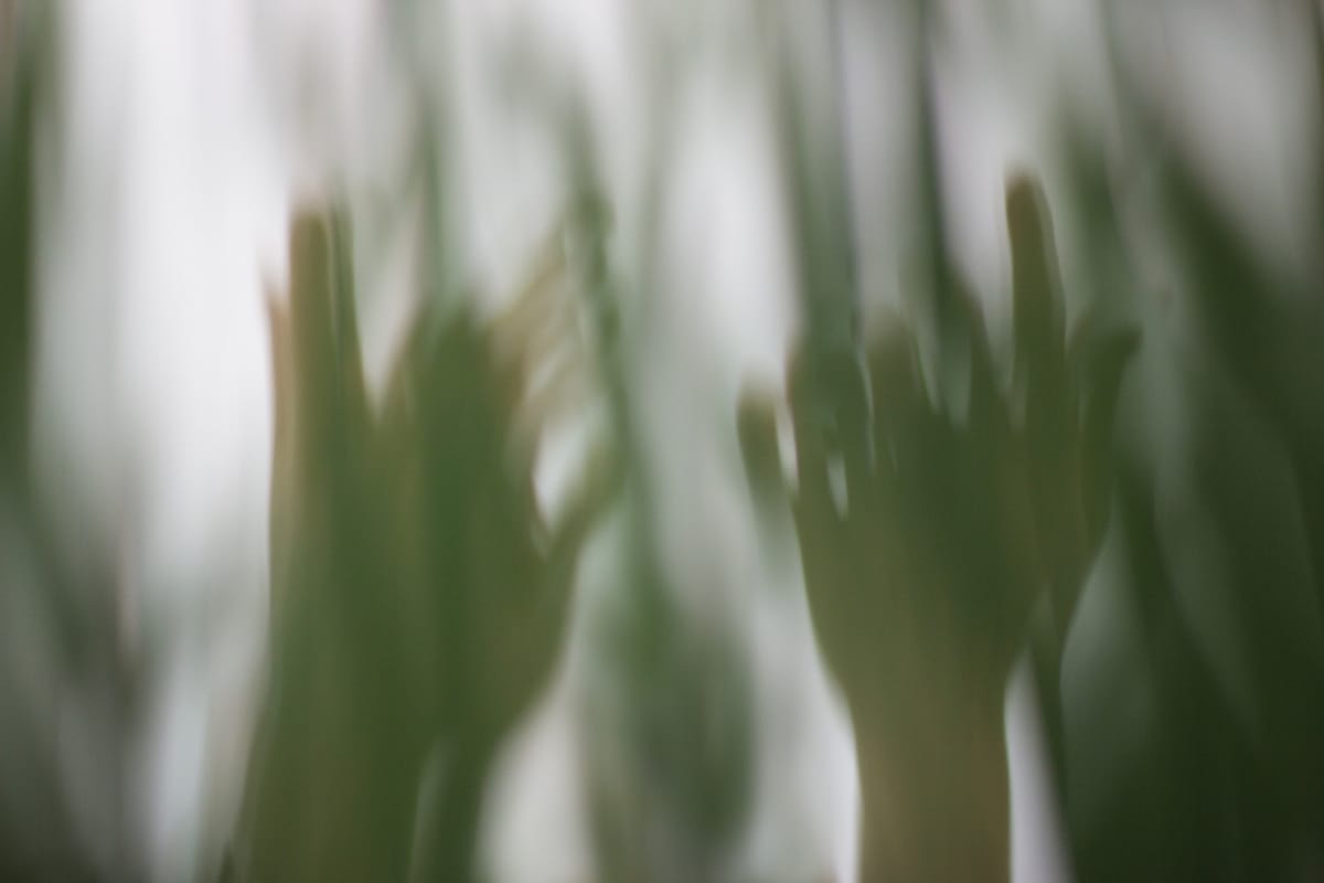 hands reaching behind curtain