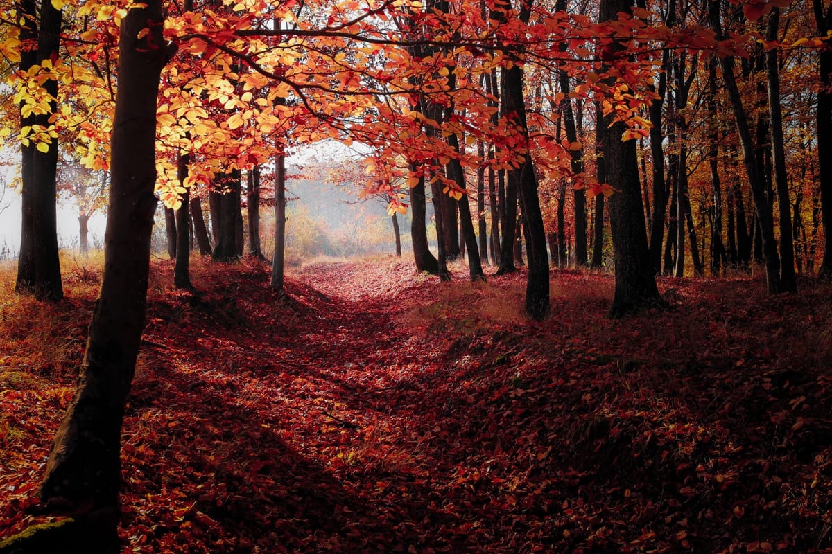 Daily Devotion - The Unity Between Faith and Works