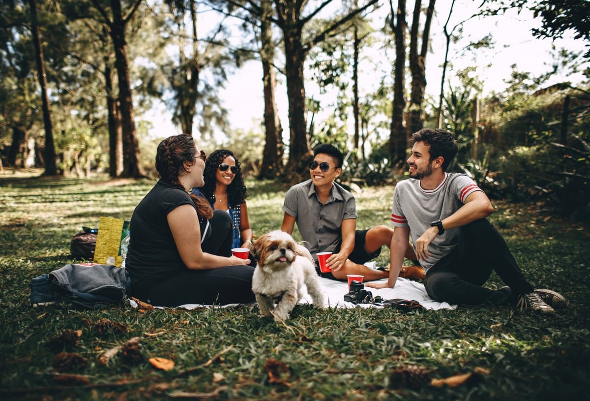 people in park with dog