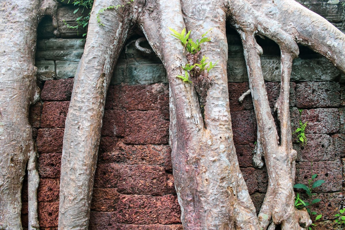 Daily Devotion - Colossians 2:6-7 - The Foundation of Faith