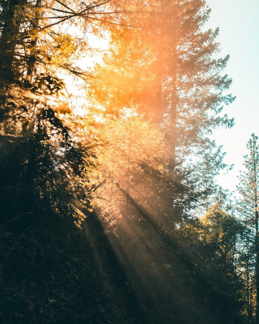 Daily Devotion - Jeremiah 29:12-13 - Call Upon Me