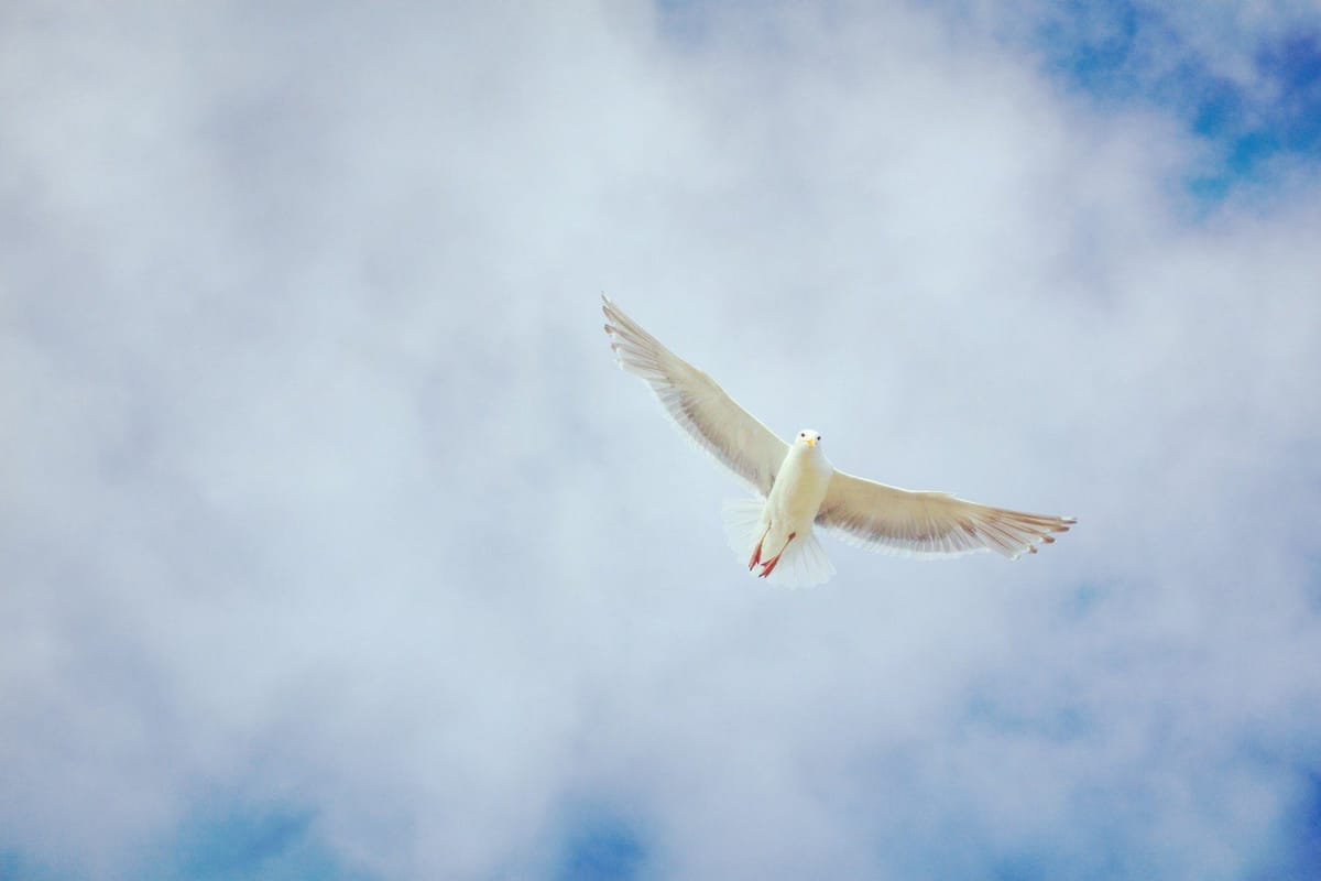 Daily Devotion - 2 Corinthians 5:17 - The Holy Spirit