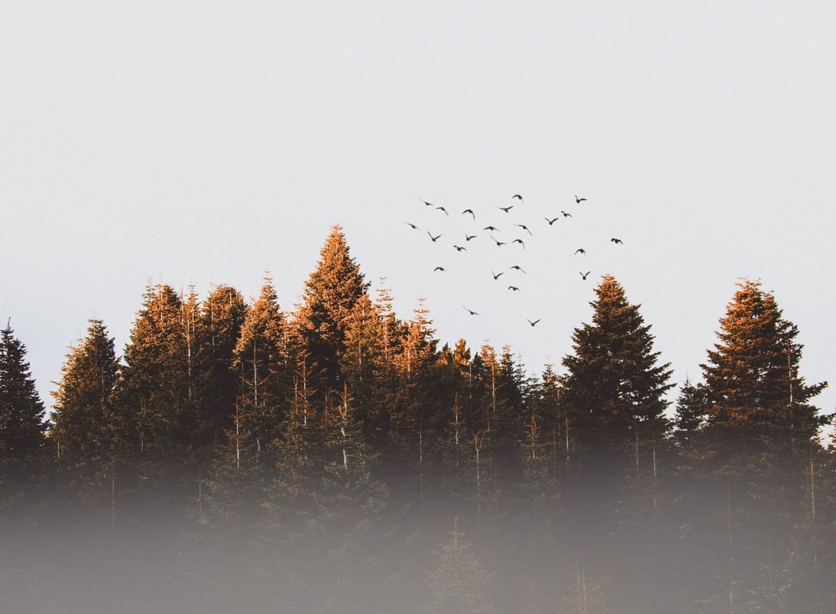 Daily Devotion - Matthew 10:31 - When You Struggle With Self-Worth