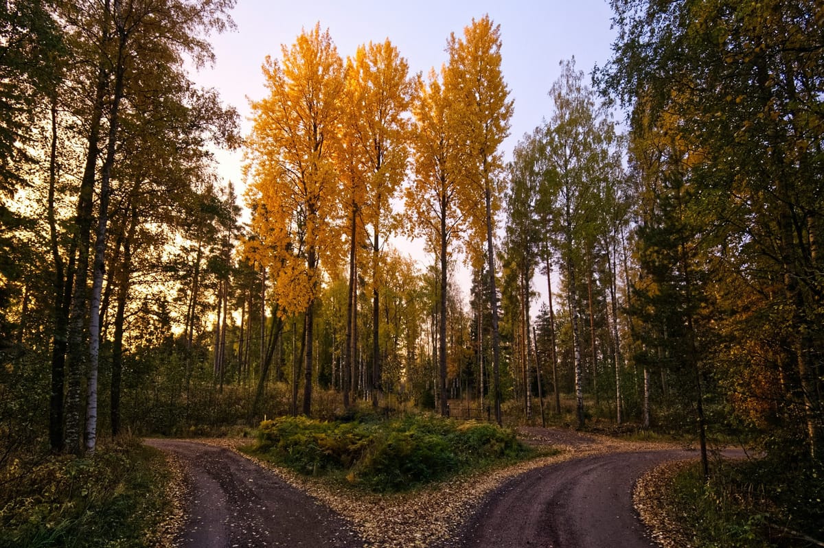 Daily Devotion - Hebrews 13:8 - Patient in the Change