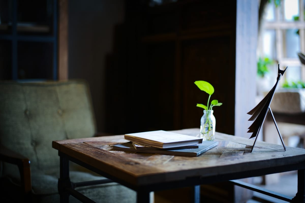 coffee table with books and plant