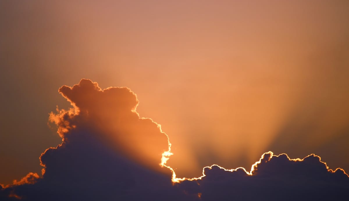 Daily Devotable - Light and Dark