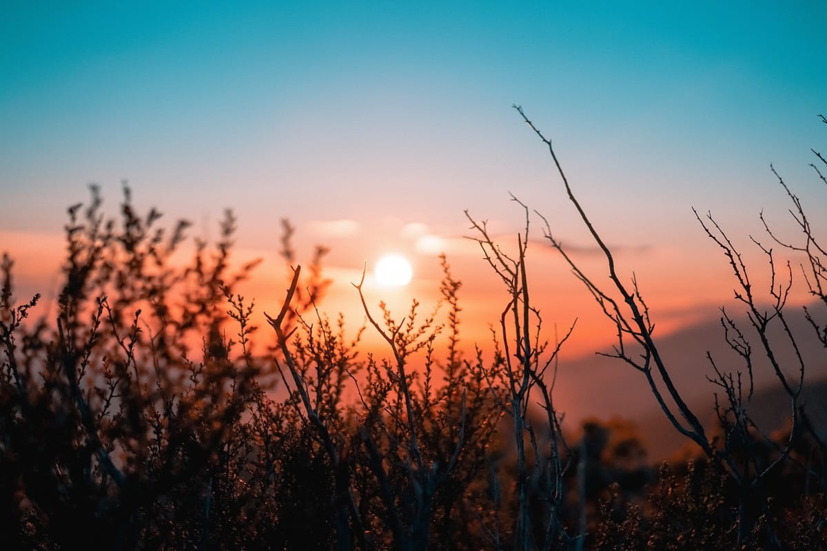 sunrise desert