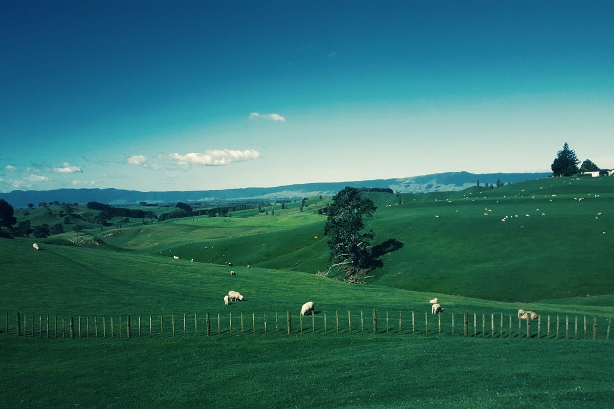 Daily Devotion - When the Abundant Life Seems Elusive