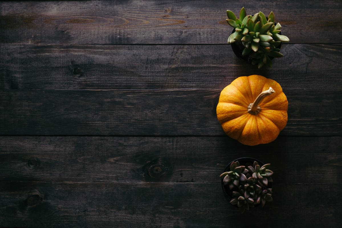 mini pumpkin on table