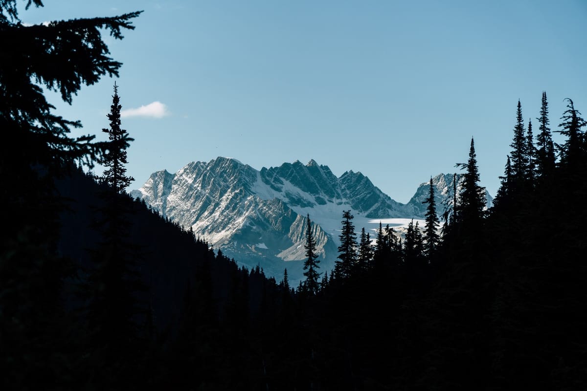 mountains through trees