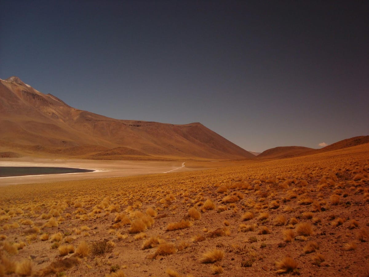 wilderness desert