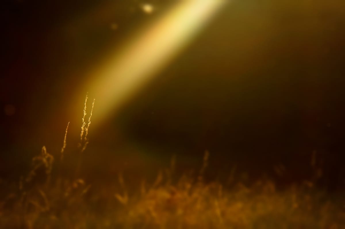 Daily Devotion - Walk in Light
