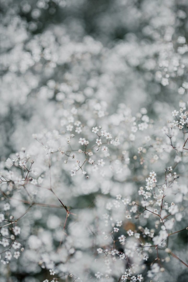 Daily Devotion - Ephesians 1:1 - True Identity