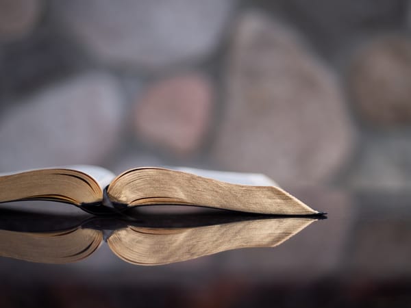 bible laying on table