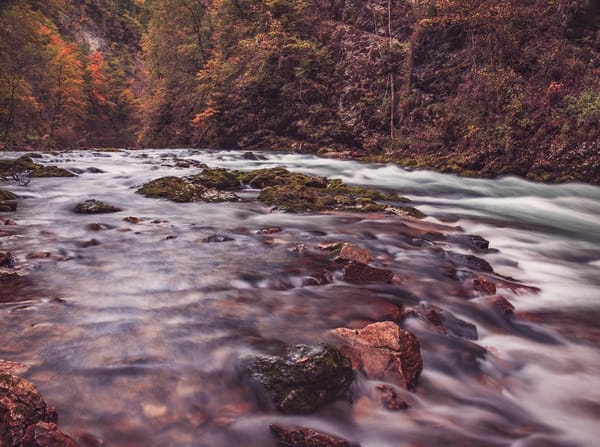Daily Devotable - Waters of Sihor