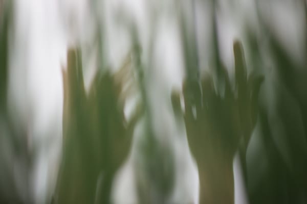 hands reaching behind curtain