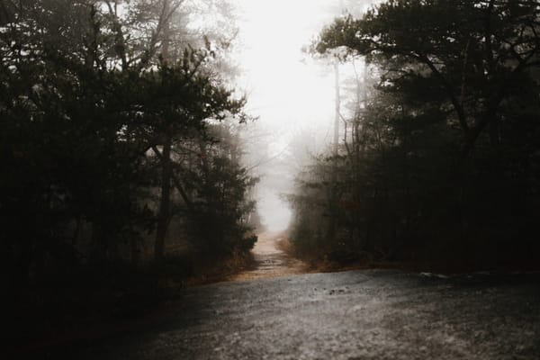 Daily Devotion - Psalm 134:1-2 - Servant of the Lord