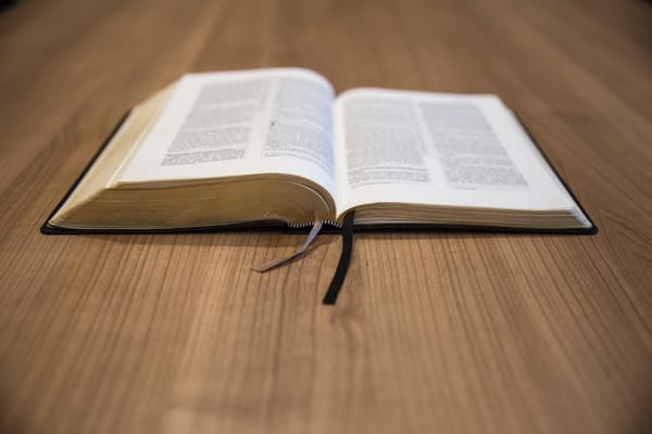 Daily Devotable - Preaching Against Sin