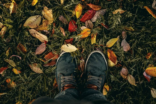 Daily Devotion - Trading Your Anxiety for God's Peace