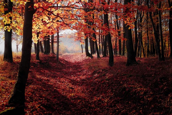 Daily Devotion - The Unity Between Faith and Works