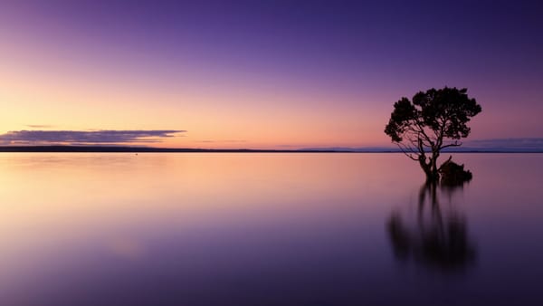 beach sunset
