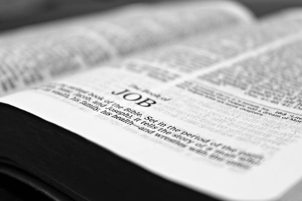 bible-job