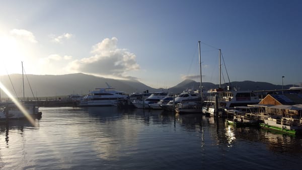 boats in harbor