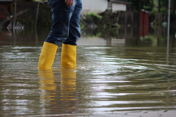 wading in water