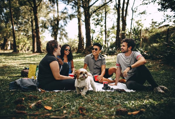 people in park with dog