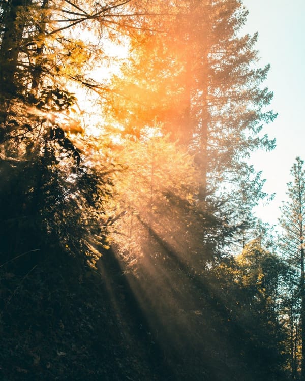 Daily Devotion - Jeremiah 29:12-13 - Call Upon Me