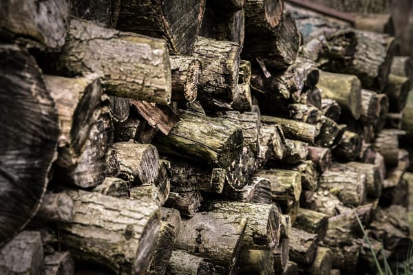 logs