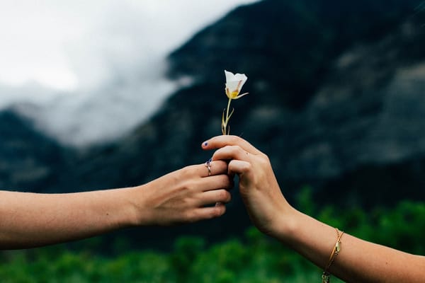 Daily Devotable - Fear and Generosity