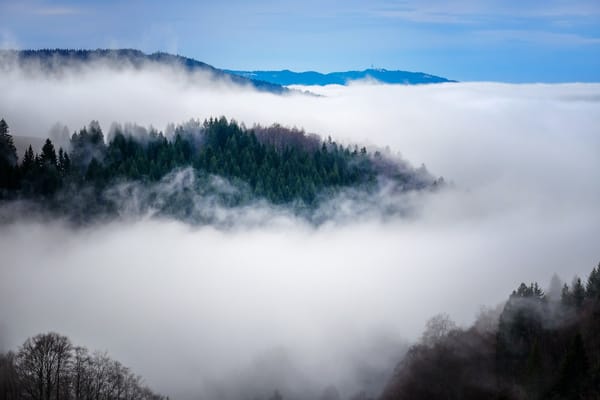 fog on mountains