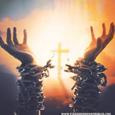 Daily Devotion - John 8:36 - Finding Freedom