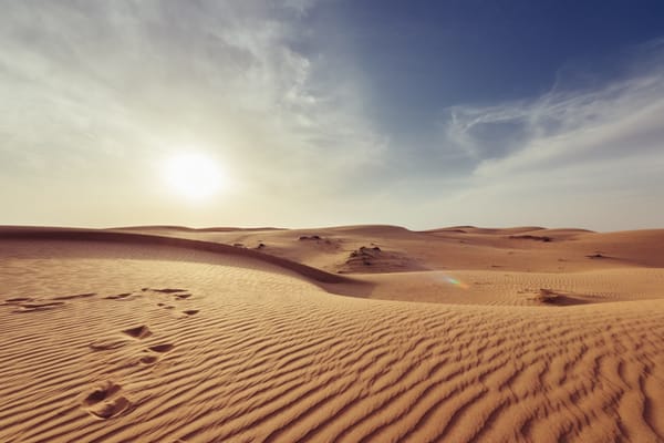 desert sunset