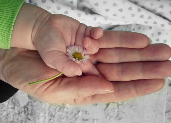 baby hand flower