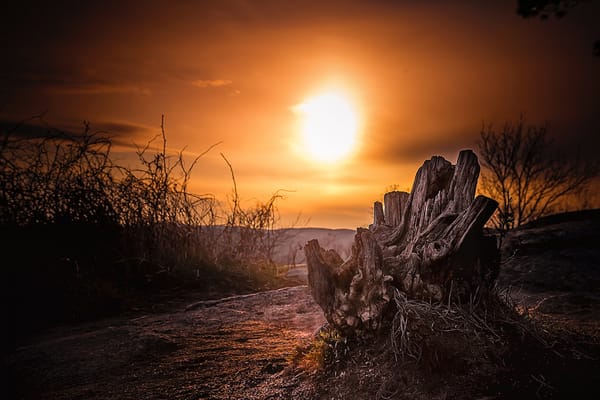 good sunset