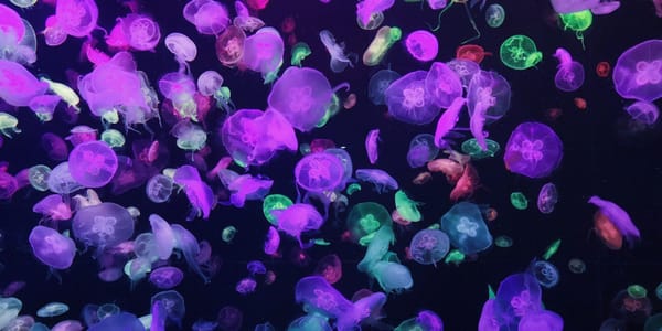 Daily Devotion - Ephesians 2:10 - You Are God's Masterpiece