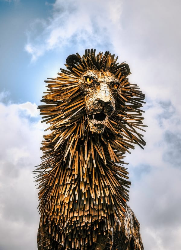 Daily Devotion - James 4:8-10 - Fully Draw Near to God