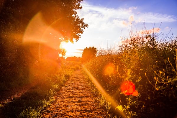 sunrise on trail