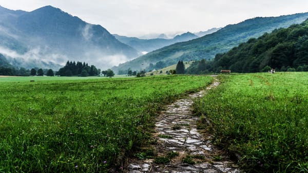 grassy path