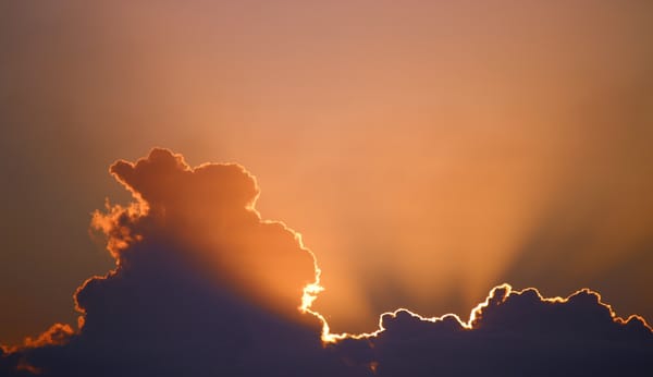 Daily Devotable - Light and Dark