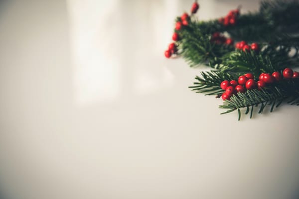 Daily Devotion - A Different Kind Of Thankfulness