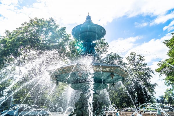 Daily Devotion - Psalm 36:9 - The Fountain of Life