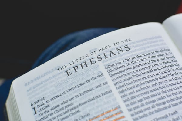 bible the word