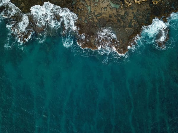 ocean and beach from above