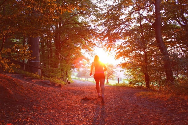 christian walking in forest fall