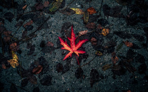 red leaf